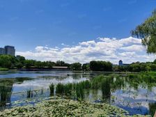 北二环,西直门德胜门积水潭,西海公园,锦胜华安43平53平米