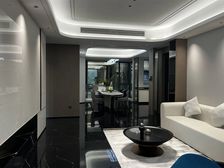 湘江新区 山体公园 板楼高层 湖湘匠心房企,实力巨擘