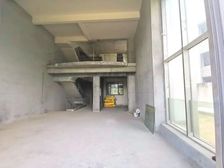 银湖山庄(别墅) 预留电梯井 大花园加建好实用800平 面积