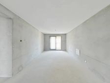 三角咀家园出门虎丘湿地公园全新毛坯房东诚心出售看房提前联系