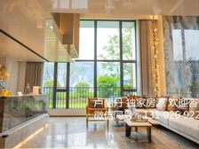 千灯湖地铁口 带租4000 可商可住 豪华精装三房 来电看房