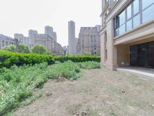 国宾1号 真洋房 随时看房 价值满满 房东着急卖掉