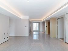 竹林壹号 大平层 二实小 房东着急卖掉回老家 捡漏价格