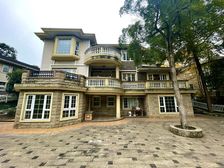 天府艺术公园【临湖独栋别墅】花园500平,带私家车库