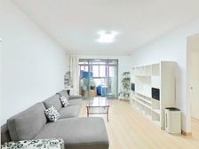 业主打新|已定新房|精装好房|高区景观楼层采光刺眼|急需资金