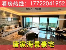 7.8m横厅瞰海+双套房设计!【仁恒滨海湾】163平大平层!