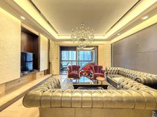 海珀旭晖 4室2厅 294.73平