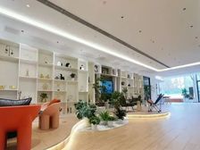 亚奥奥体园区内新项目 大小面积都有 看房可约