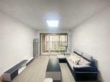 安家 康虹路 绿地华彤苑 刚交房 海川 课本近 南北通透!