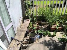 !!房东急售(一梯两户)送20平天井50平菜地,有钥匙随时看