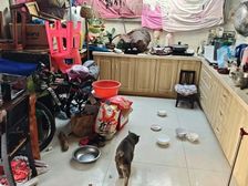 明华一村 2室1厅1卫 精装修 24.1万元