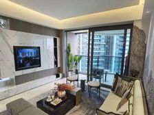 都湖国际一线望湖景观南北通透,大平墅