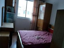 就在4A级国家森林公园和4A级前卫生态村之间地段是很好的!