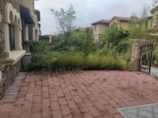 (专做香江)院260平!香江边户类独栋 精装修!靠谱出售