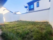 苏式园林别墅 精装修 现房 4房3卫 带前后花园 纯地上2层