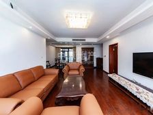 中原甄选! 议价|小区中间位置|闹中取静|业主诚售|可看房