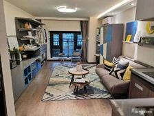 合生湖山国际 新塘 自带省級育育學校 价格可谈 低密度宜居区