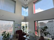 MOMA新出大复式6居 挑高6米 后排带100平院 前后景观