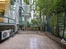 复式联排别墅,送子母车位,房型开阔大气,有车库,带花园