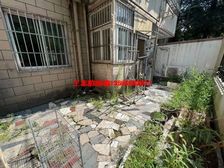 一楼带院子 不靠马路 就是装修破了点 价格很实惠 采光充足
