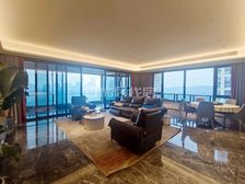 311平 电梯房 朝向西 豪装 5室 房东急置换 诚心出售