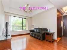 陆家嘴集团次新 单价总价lowest 捡漏 非底楼