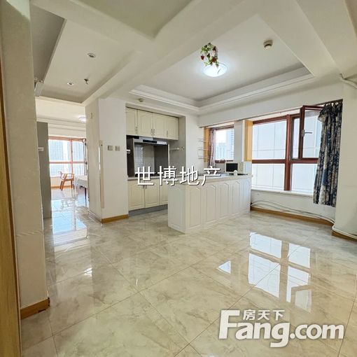 阳面平层一室厨房带煤气,拎包入住,茂业大厦天津站恒隆