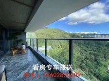 德商樾璽!大平層(帶私家泳池!一梯一戶)一級代理商內部價!!