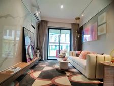 价格可谈 一线临深来电5折 地铁旁精装现房 看房接送 包午餐