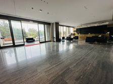 南岸一号11000平米精装独栋丨1.2亿豪华装修遗留