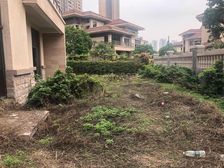 保利东江 (别墅) 单边位,大花园,价笋