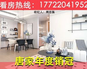急售直降100万!唐家【格力海岸】全新6期精装大两房海景房