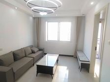 小户型三房 四中教育 南北通透 全明户型,采光充足