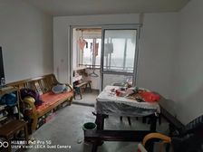 江镇 电梯房 高楼层视野无遮挡 南北通透 房龄新 满五...