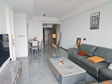 钓鱼嘴半岛 绿地听江左岸四期三房66.9万