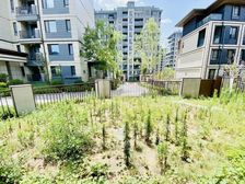 房主急售,560就卖,下叠,百平小院,好位置