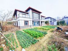 石湖湾三期大独栋 紧挨石湖公园 环绕式花园400平 4个车位