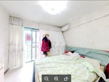 江南名城 金山大道 247平居家6居 电梯精装修 方便看房