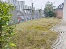新上房 大 80平端户大花园洋房 可二改三 双卫 通透