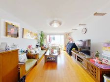 【买房找我不收费】 全明三居 三阳开泰 电梯房采光充足 急售