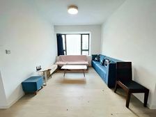 金田花苑 金海花园 帝景苑旁 南向大三房 大型花园 双地铁