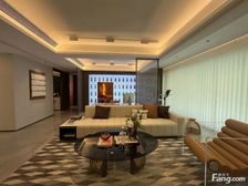 金地大成雅颂 雨花中芯 国企开发 双地铁口 纯板房 近德思勤