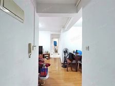 垫高一楼,不返潮,南北通透,奚确户型,看房随时,