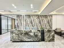 桐梓林地铁口 豪装带家具7+48格局 无加时费 三面采光
