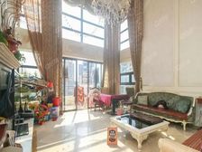 大运中海康城国际 17栋楼黄,真复式带200平私家大露台