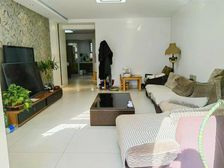 全城绿洲,电梯小高,(绿洲 44中)好户型