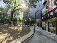 国贸 朝外主街底商 燃气 排烟 可注册 业态不限 餐饮展厅