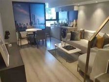 高新必看 !花东岸 一线湖景房 地铁口入户民水电复式loft