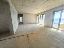 房东年底套现急售价格可谈 东边户南北通透一线湖景中洲中央公园