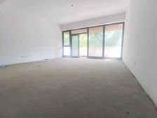 森林1号 正规商品房 满五 超低密度 有电梯 朝南大坪